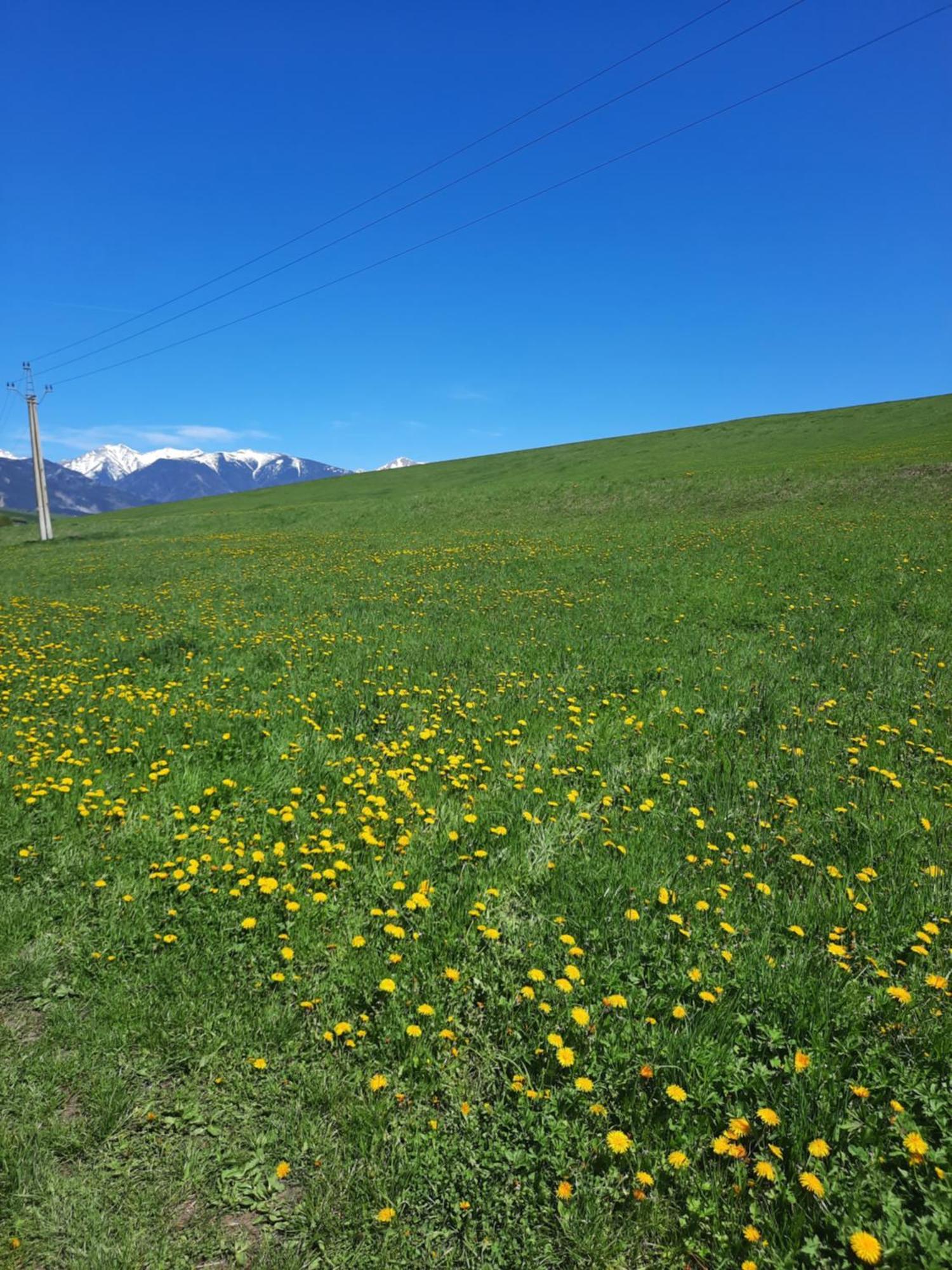 Domceky Holiday Liptovský Trnovec المظهر الخارجي الصورة